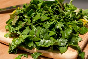Swiss Chard leaves