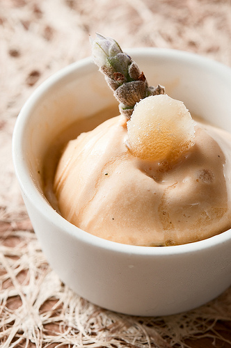 Sea urchin gelato Sea urchin gelato