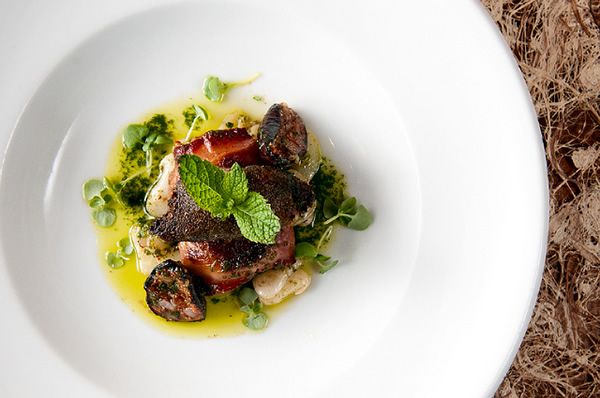 Sea Rocket Black Cod Sea Rocket Black Cod