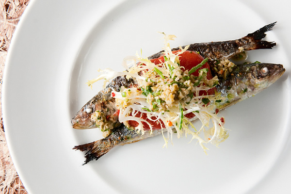 Sea Rocket Sardines Sea Rocket Sardines