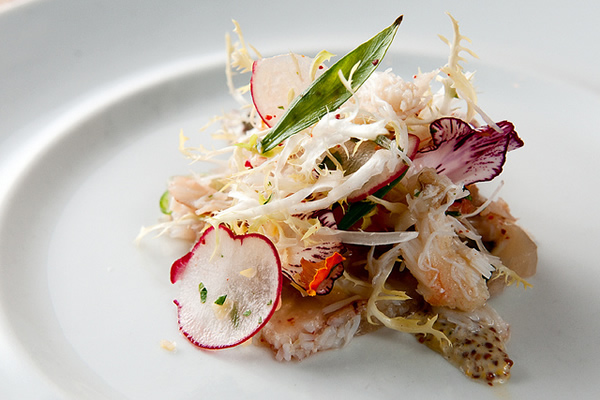 Sea Rocket Spider Crab Sea Rocket Spider Crab
