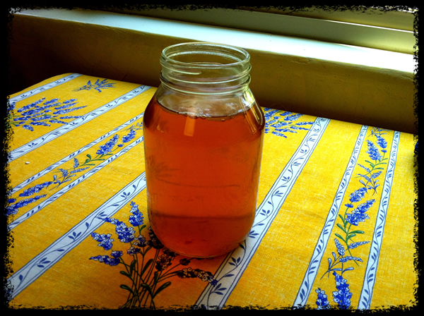Kombucha Mother in a Jar