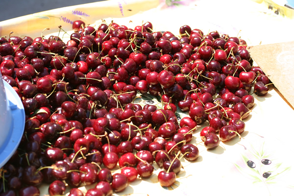 Cherries in a Provence farmer's market