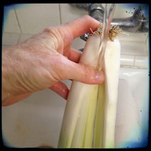 Washing leeks